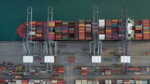 Container ship in export and import business and logistics. Stock Footage 99465066