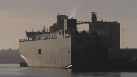 Container Ship 스톡 동영상 232681112