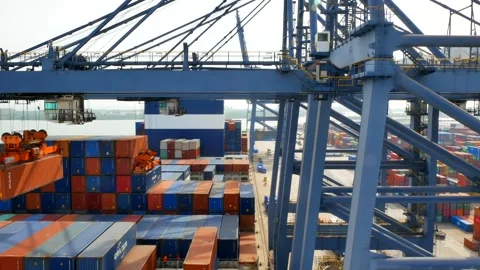 Container ship has loading operations with few gantry cranes in Lazaro Cardenas Stock Footage 262849824
