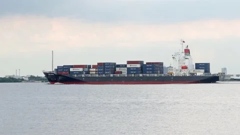 The Container Ship HORAI BRIDGE Stock Footage 214239828