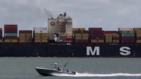 Container Ship at International Harbor Loading Cargo Operations 動画素材 338128781