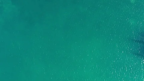 Container ship loading and unloading with industry crane at sea port, Aerial top Stock Footage 127102642