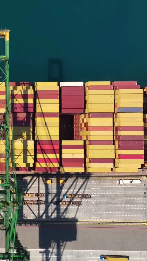 Container ship loading and unloading containers at a cargo terminal 스톡 동영상 340234613