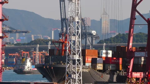 Container ship loading cargo at Hong Kong port terminal Stock Footage 345681967