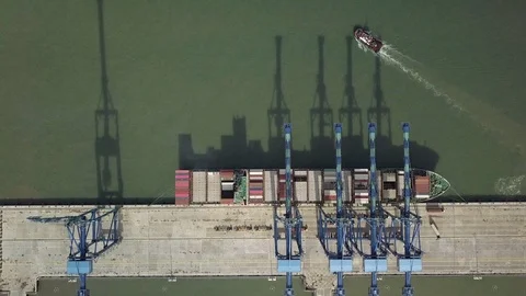 Container Ship Loading Unloading in Port Video stock 101728233