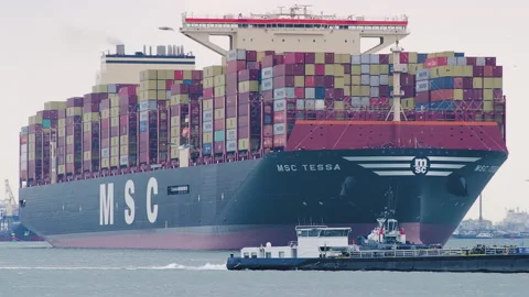 Container Ship MSC Stella in Rotterdam Harbour 4K Stock Footage 244322095
