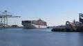 Container Ship OOCL Italy Enters Port HD Footage