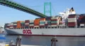 Container Ship Passes Under Bridge HD Footage