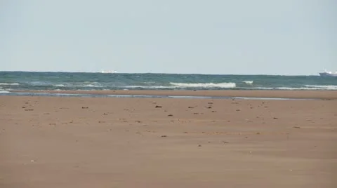 A container ship passing on the horizon of a beach 库存影片 11853775
