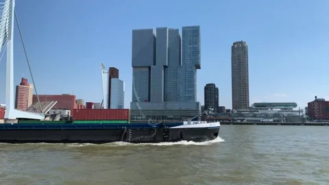 Container ship is passing under Erasmus bridge at Rotterdam. Netherlands Stock Footage 245584331