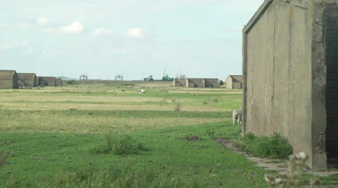 Container ship passing WW2 ruin Thames Estuary Stock Footage 53845969