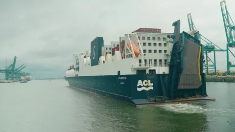 Container ship sailing through Deurganckdok in Antwerp port with towering Stock Footage 340936317