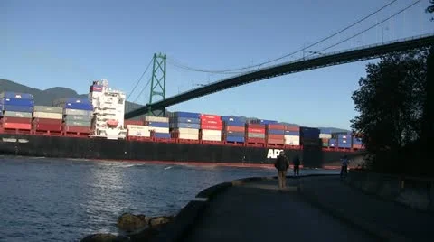 Container Ship Sailing Under Suspension Bridge Stock Footage 21236980