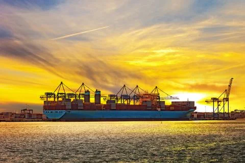 Container ship at sunset Stock Photos