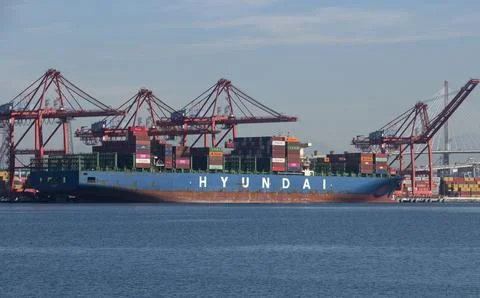 Container ship terminal loading containers, container ship Port of Los Angeles  Stock Photos