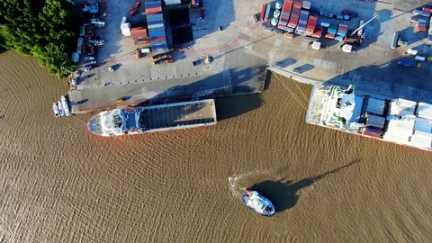 Container ship, tug and supplier in Degrad des Cannes port Stock Footage 119117208