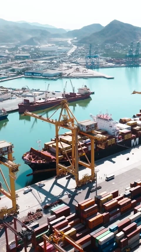 Container ship unloading cargo at the busy port of Manzanillo in Colima, Mexico Stock Footage 337658814