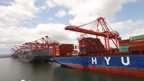 Container ship unloading on the Port of Long Beach Stock Footage 116493125