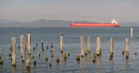 Container ship waiting to be docked at Columbia River, Astoria, Oregon - 4K Stock Footage 220588571