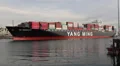 Container Ship YM Modesty Enters Port HD Footage