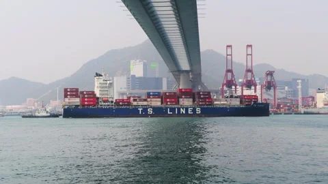 Container shipping. Stock Footage 304218012