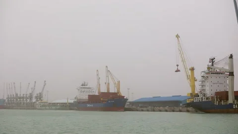 Container ships and cranes work at busy port during foggy day Stock Footage 318200580