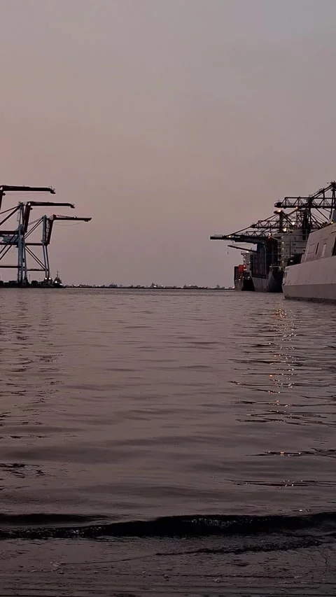 Container ships loading and discharging by shore crane at port. Stock Footage 314616943