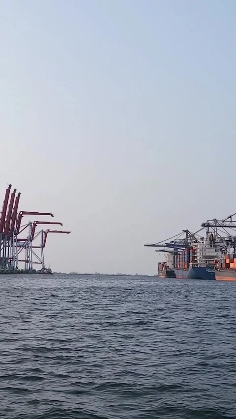 Container ships loading and discharging by shore crane at port. Stock Footage 314670416