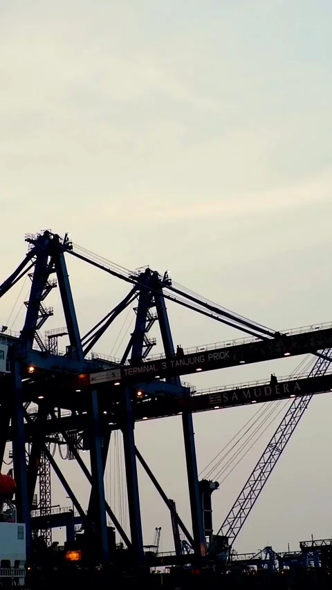 Container ships loading and discharging by shore crane at port. 動画素材 314670447