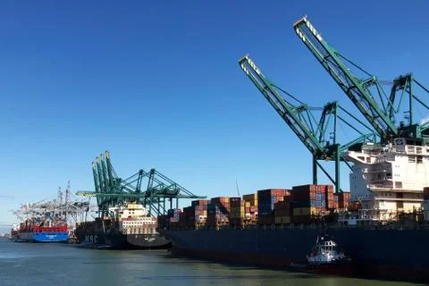 Container ships Stock Photos