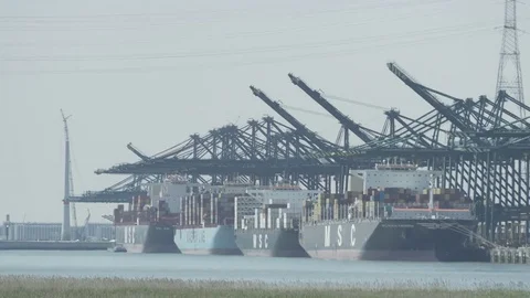 Container Ships in Port Stock Footage 78180031