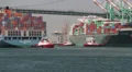 Container Ships at Port of Los Angeles HD Footage