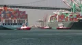 Container Ships at Port of Los Angeles HD Footage