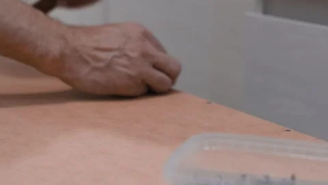 Container small metal nails Stock-Footage 312575577