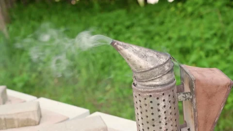 Container for smoke in the apiary 스톡 동영상 170026330