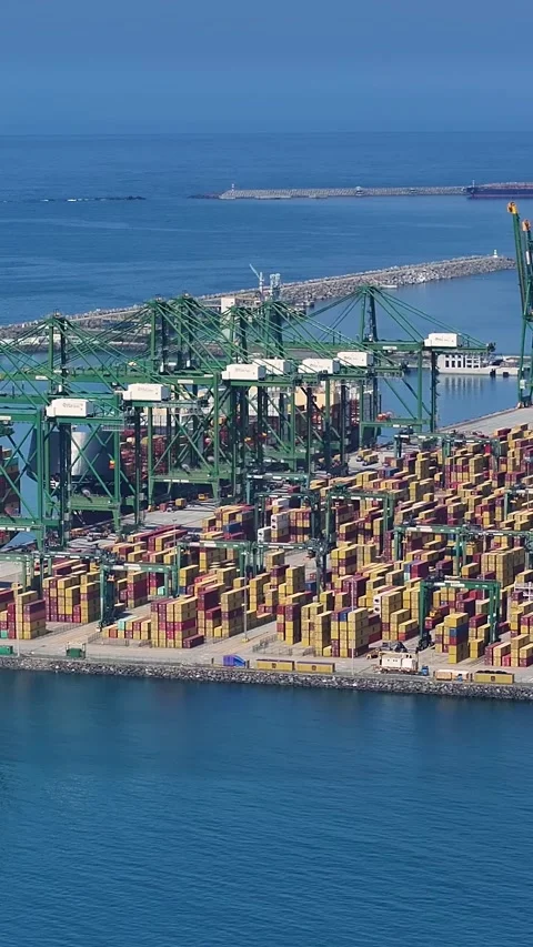 Container terminal activities and shipping operations at a cargo terminal Video stock 341838004