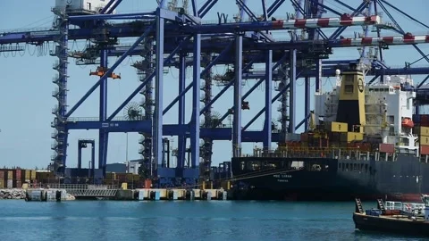 Container Terminal 스톡 동영상 172165868