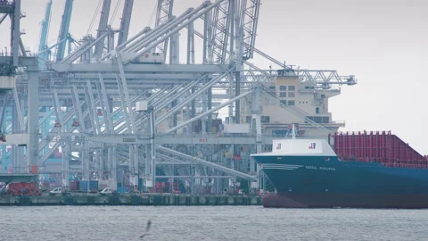 Container Terminal Stock Footage 244487886
