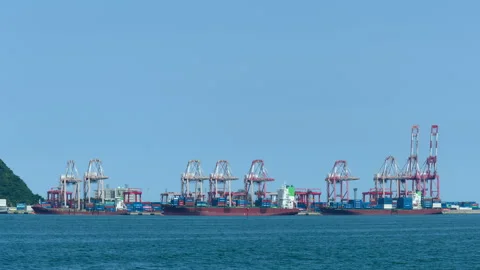 Container Terminal 库存影片 336187839