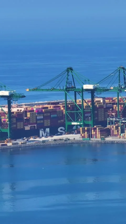 Container terminal operations with cargo ships and shipping containers Video stock 340235258