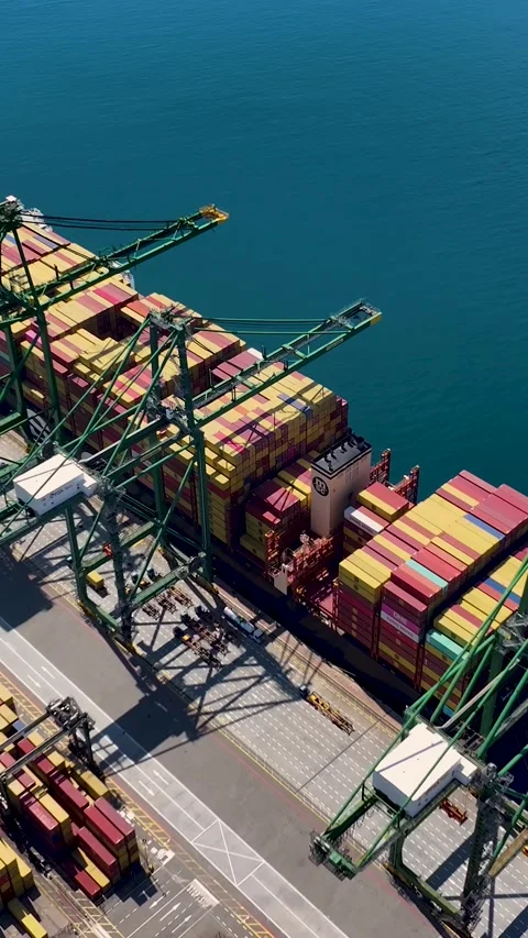 Container terminal operations with cargo ships and shipping containers Video stock 340235373