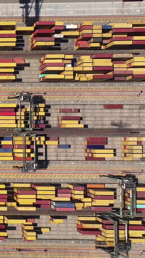 Container terminal operations with shipping containers and cargo activities Video stock 341837367