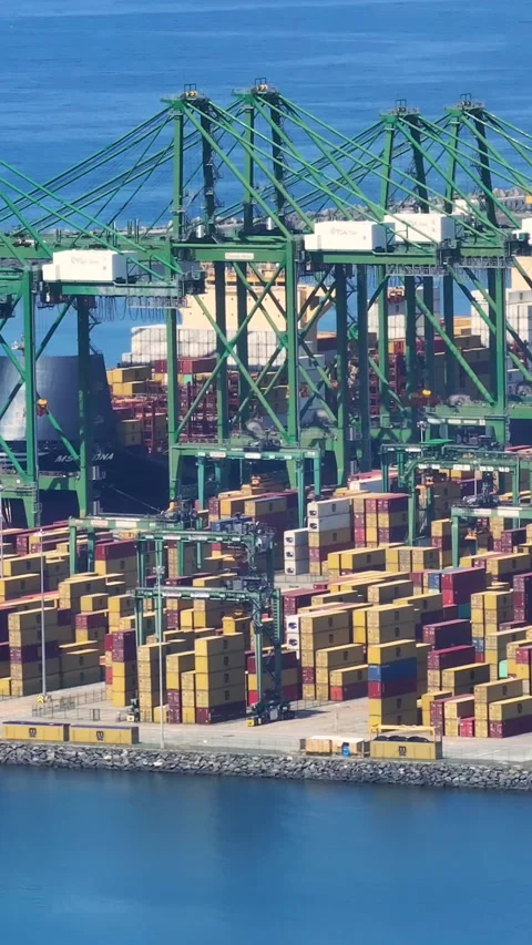 Container terminal operations with shipping containers and cargo handling Video stock 342321481