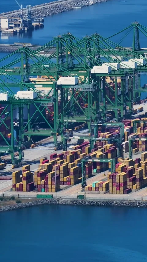 Container terminal operations with shipping containers and cargo handling Video stock 342321508