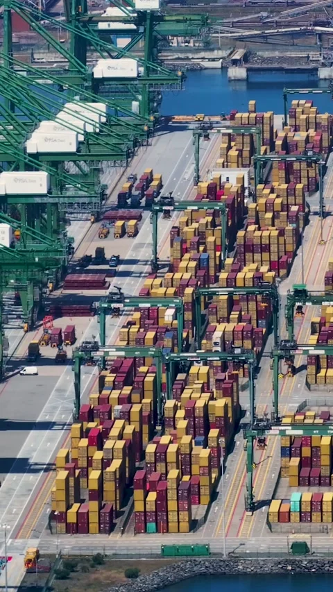 Container terminal operations with shipping containers and cargo movement Video stock 342321531