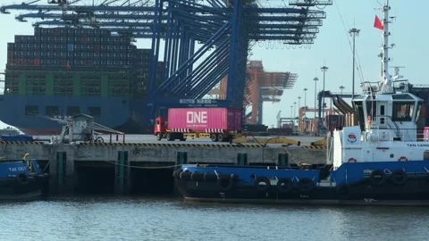 Container terminal operations with vessel and cranes at a commercial port. Stock-Footage 343140519