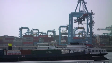 Container Terminal at Rotterdam: Glimpse of a Bustling Maritime Hub Stock Footage 240985224