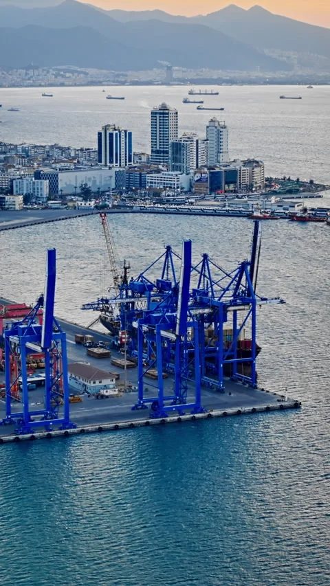 Container terminal on sea port area with bridge cranes Stock Footage 337373459