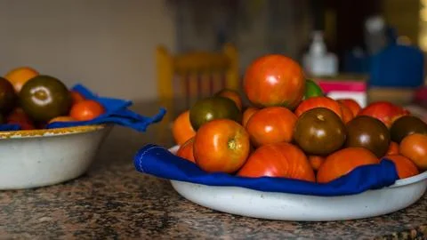 Container with tomatoes Stock Photos