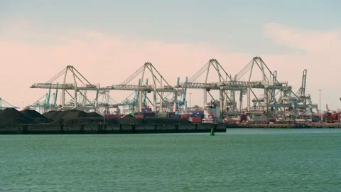 Container transhipment port Stock Footage 131649416